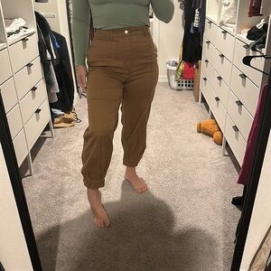 Zara Tan high waisted pants